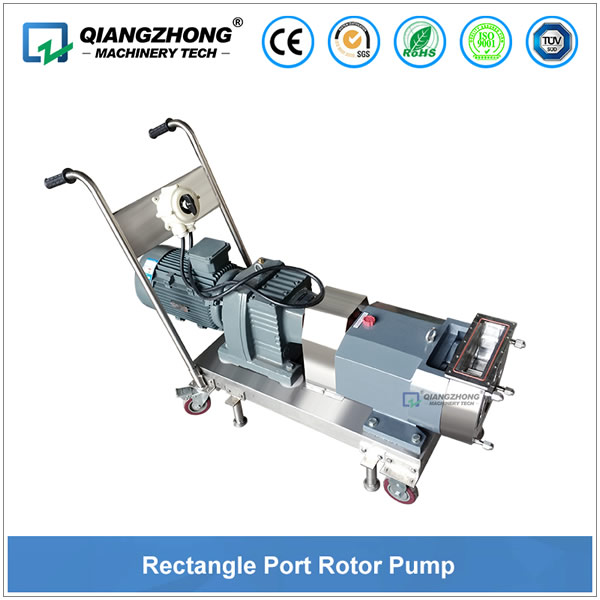 Rectangle Port Rotor Pump